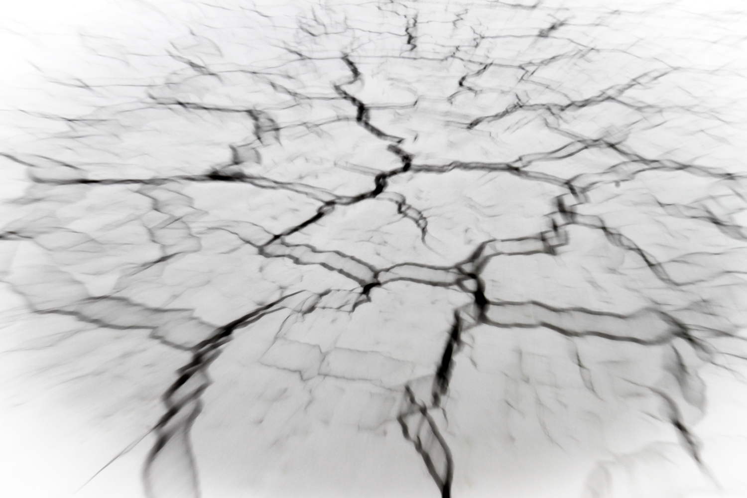 von Sieglinde Senser